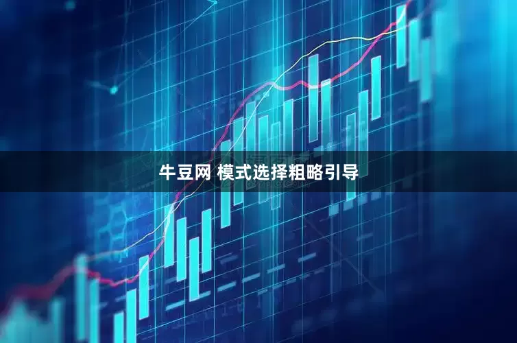 牛豆网 模式选择粗略引导